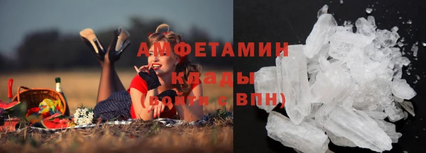 гидра Абаза