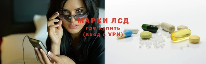 крисы Алзамай