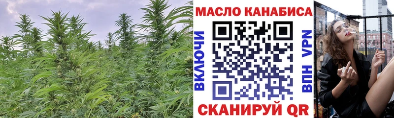 хочу   mega tor  ТГК концентрат  Саранск 