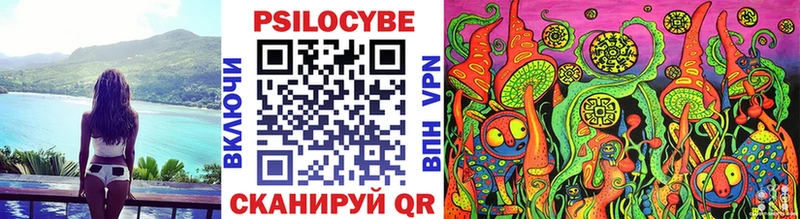 KRAKEN Саранск Галлюциногенные грибы Magic Shrooms