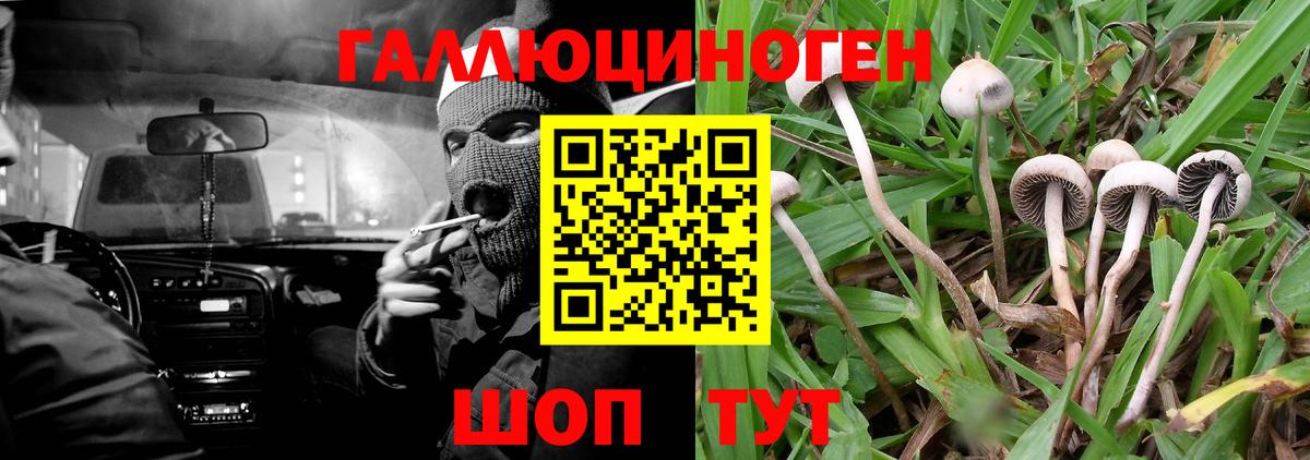 Галлюциногенные грибы Cubensis  Псилоцибиновые грибы Cubensis  Вход с VPN  Саранск 