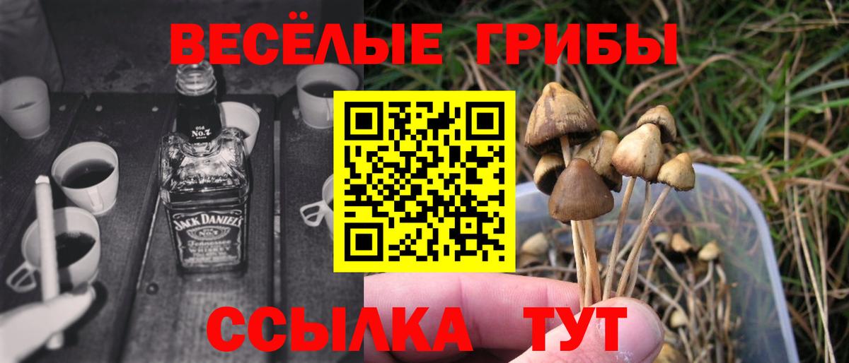 Галлюциногенные грибы мицелий Саранск